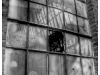 Fenster